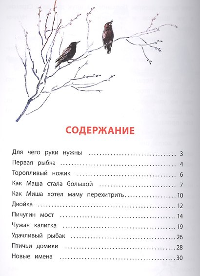 Чужая калитка. Рассказы - фото 2