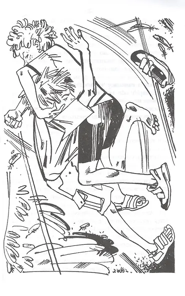 Прохождение Венеры по диску Солнца - фото 5