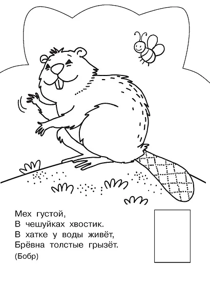 Зверята - фото 10