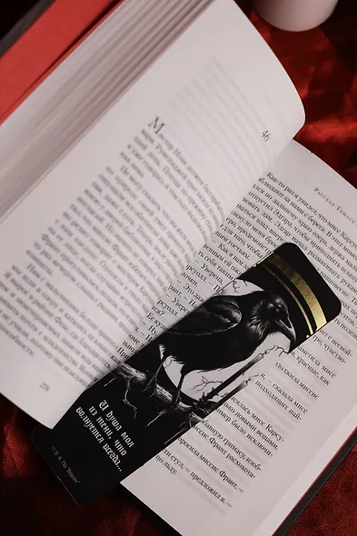 Загадка Эдгара По - фото 15