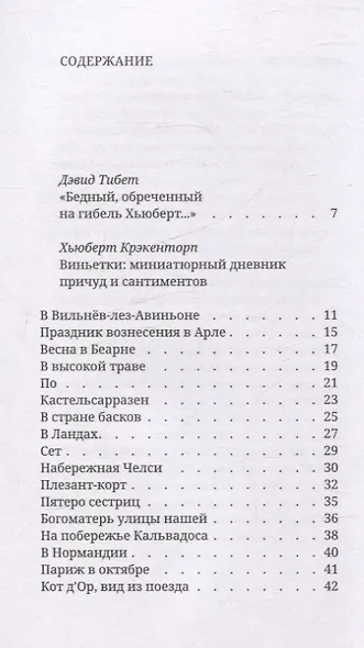 Виньетки. Миниатюрный дневник причуд и сантиментов - фото 2