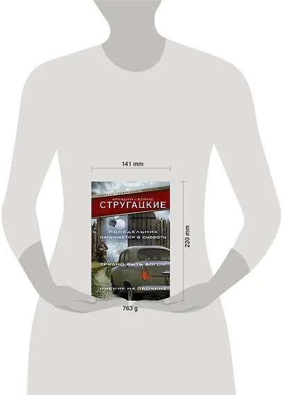 Понедельник начинается в субботу. Трудно быть богом. Пикник на обочин - фото 5