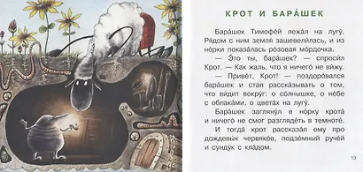Барашек Тимофей - фото 3