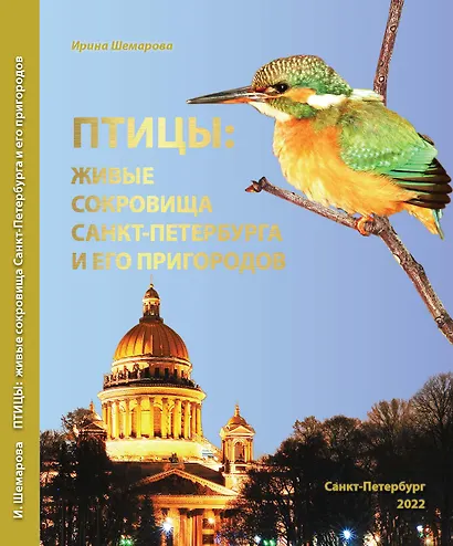 Птицы: живые сокровища Санкт-Петербурга и его пригородов - фото 1