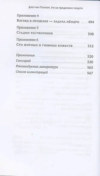 Ум за пределами смерти - фото 9
