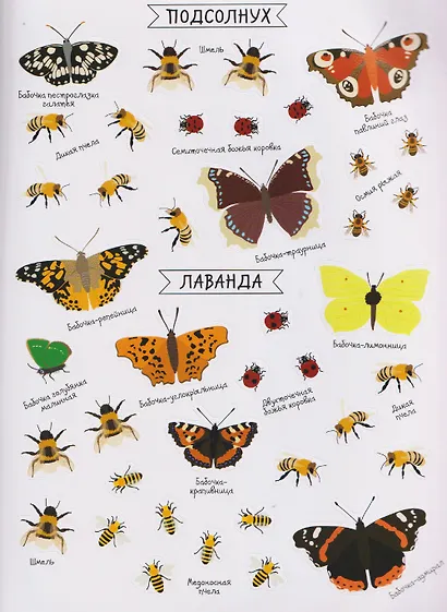 Насекомые. Моя первая книга наклеей - фото 6