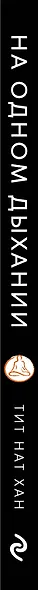 На одном дыхании. Самоучитель по медитации в современном мире - фото 8