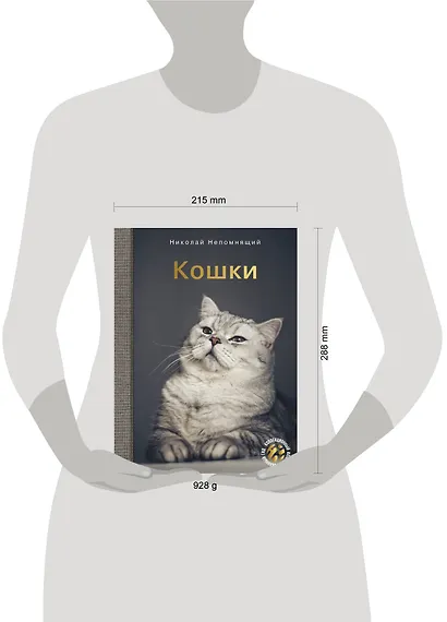 Кошки - фото 4