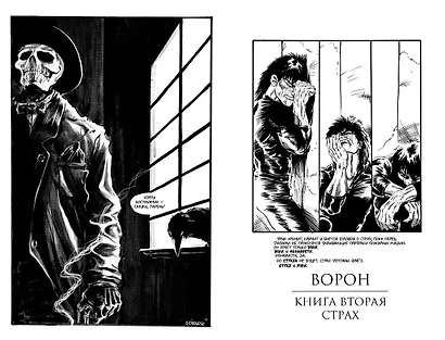 Ворон - фото 5