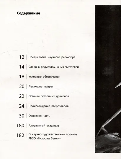 Секреты летающих ящеров - фото 3