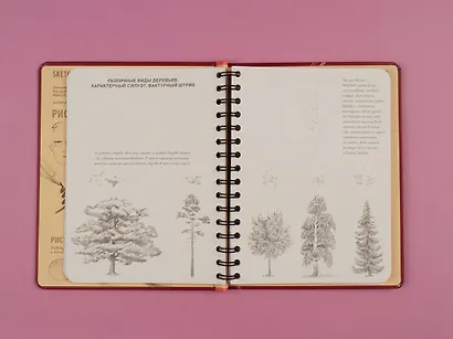 SketchBook: Визуальный экспресс-курс по рисованию, вишневый - фото 5