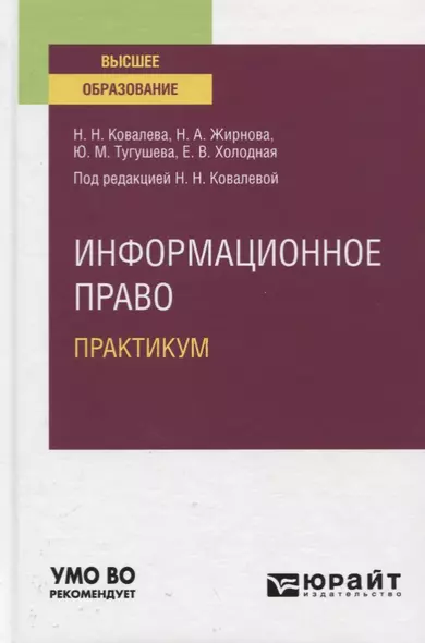 Информационное право. Практикум. Учебное пособие для вузов - фото 1