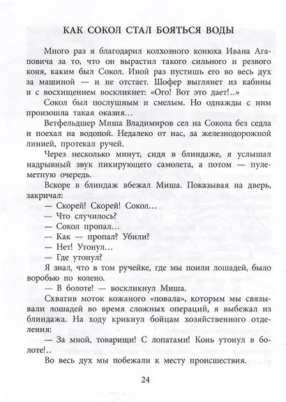 Пират, ищи! - фото 5