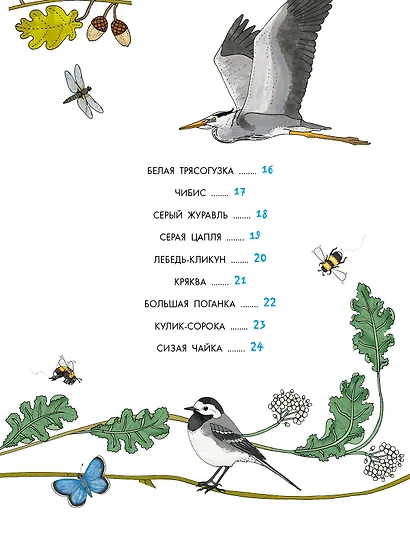 Птицы - фото 9