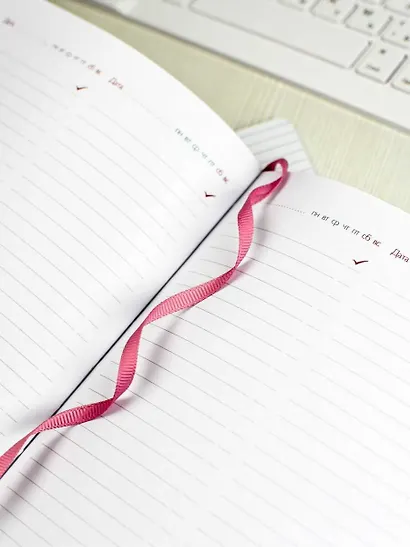 Ежедневник учителя А5 120л "ВЕСЕННИЙ ГОРОД" кожзам, ляссе - фото 6