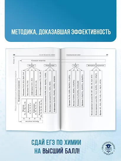 ЕГЭ. Химия. Полный курс в таблицах и схемах для подготовки к ЕГЭ - фото 7