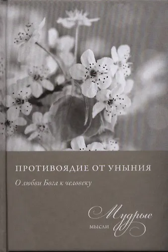 Противоядие от уныния. Из собрания священника Николая Лызлова - фото 1