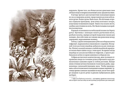 Томек у истоков Амазонки - фото 12