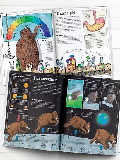 Как все устроено - фото 4