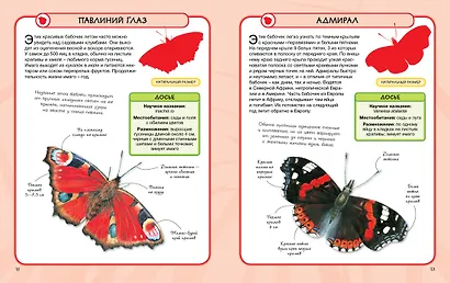 Насекомые - фото 4