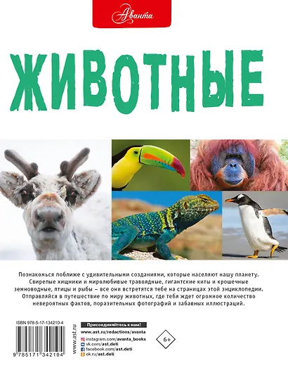 Животные - фото 2