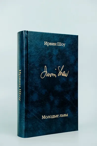 Молодые львы - фото 12