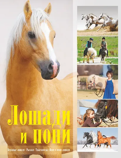 Лошади и пони - фото 1