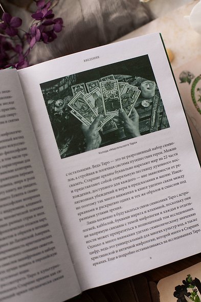 Мифы таро. От египетских жрецов и мистики Ренессанса до карнавальной культуры и танцев шута - фото 10