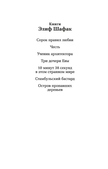 Стамбульский бастард - фото 4