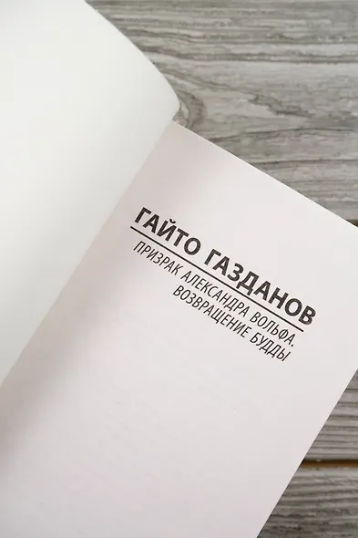 Призрак Александра Вольфа. Возвращение Будды - фото 7