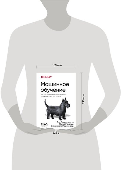 Машинное обучение. Как построить надежные модели искусственного интеллекта - фото 7