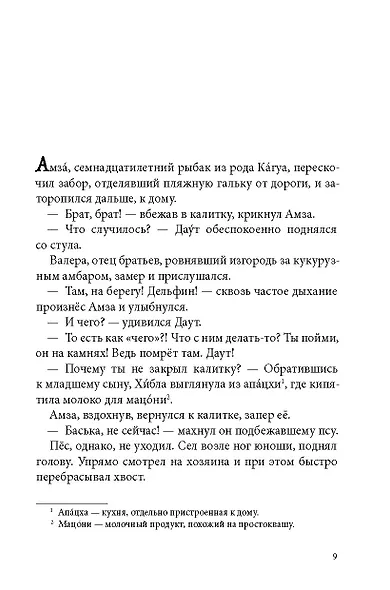 Брат мой Бзоу - фото 7