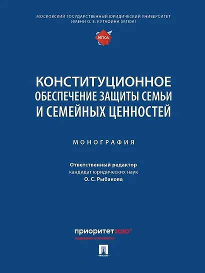 Конституционное обеспечение защиты семьи и семейных ценностей: монография - фото 1