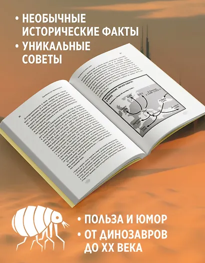 Выживание (не) гарантировано. Путешествие во времени вместе с историком - фото 4