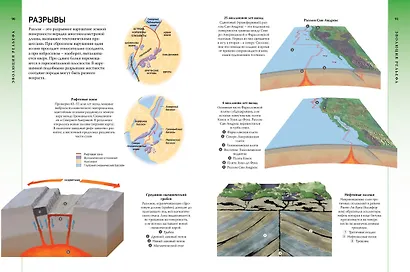 Всё о планете Земля и её обитателях. Визуальная энциклопедия - фото 8
