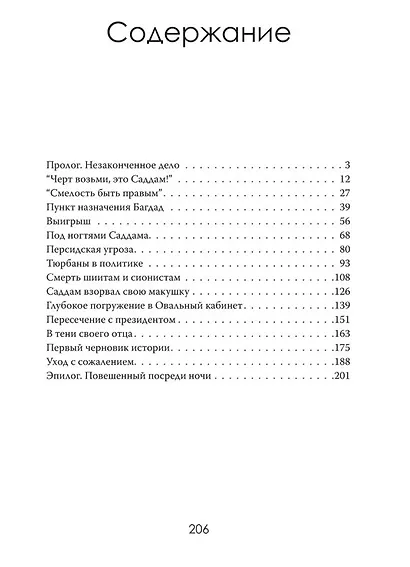 Допрос президента. Встреча с Саддамом Хусейном - фото 3