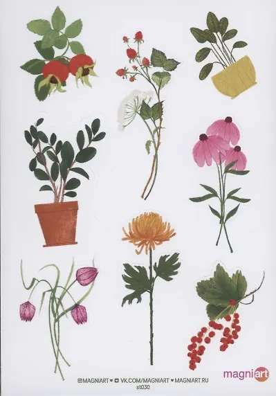 Стикерпак "Ботаника 1" - фото 1