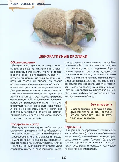 Энциклопедия для детей наши любимые питомцы - фото 6