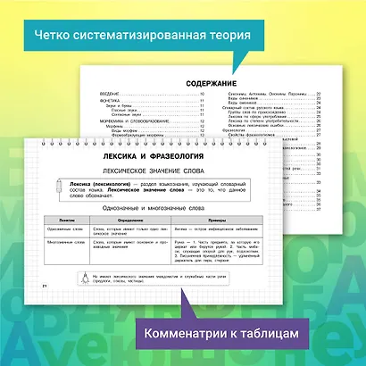 Русский язык. 5-11 классы. Школьный курс в наглядных таблицах - фото 4