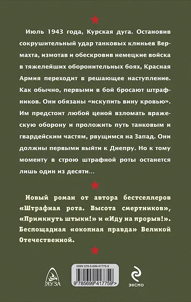 В бой идут одни штрафники - фото 2