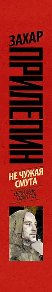 Не чужая смута. Один день - один год ( 2-ое издание) - фото 4