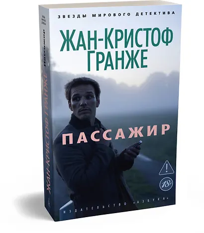 Пассажир - фото 3