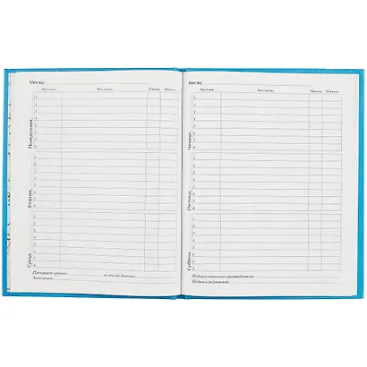 Дневник для средних и старших классов Unnika, "Панда (графика)" - фото 2