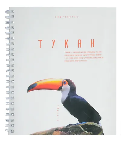 Тетрадь в клетку Listoff, "Красивые птицы", 96 листов, в ассортименте - фото 2