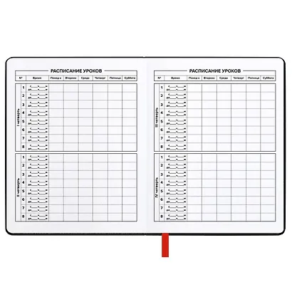 Дневник шк. "Режим босса" кожзам, тв.переплёт, аппликация, шелкография в одну краску, блинт.тиснение, пантон, одно ляссе, загругл.углы, универс.шпаргалка - фото 12