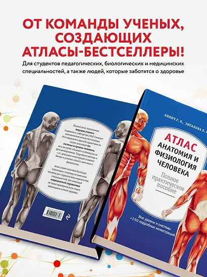 Атлас. Анатомия и физиология человека: полное практическое пособие. 2-е издание, дополненное - фото 6