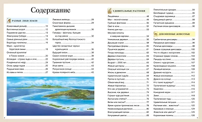 Детская энциклопедия про всё на свете - фото 6