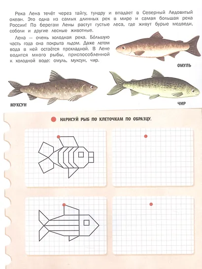 Природа России: книжка с наклейками - фото 5