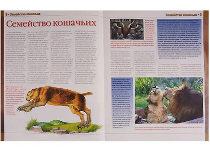 Кошки Новая иллюстрированная энциклопедия (илл. Волынца) Волкова - фото 3