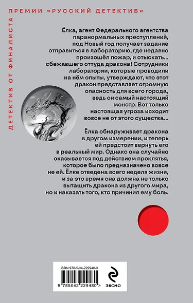 Агент Ёлка. Тайна дракона - фото 2